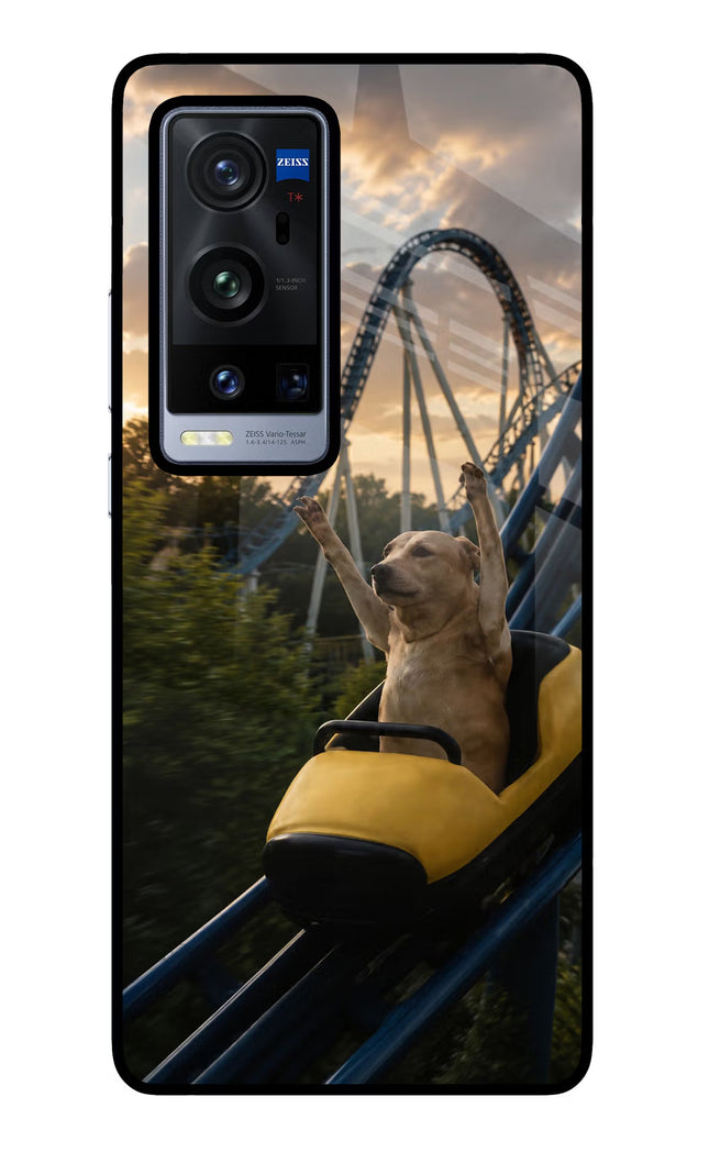 Rollercoaster Dog Vivo X60 Pro+ Glass Case