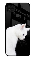 Snow Gaze Poco C31 Glass Case