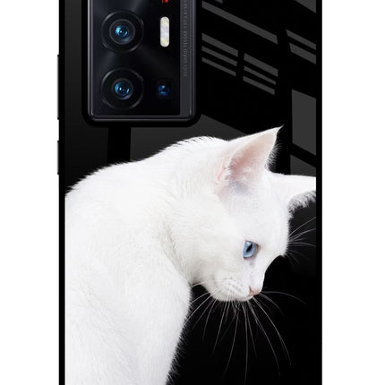 Snow Gaze Vivo X70 Pro+ Glass Case