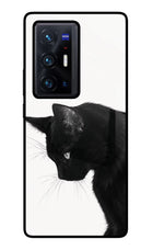 Shadow Gaze Vivo X70 Pro+ Glass Case