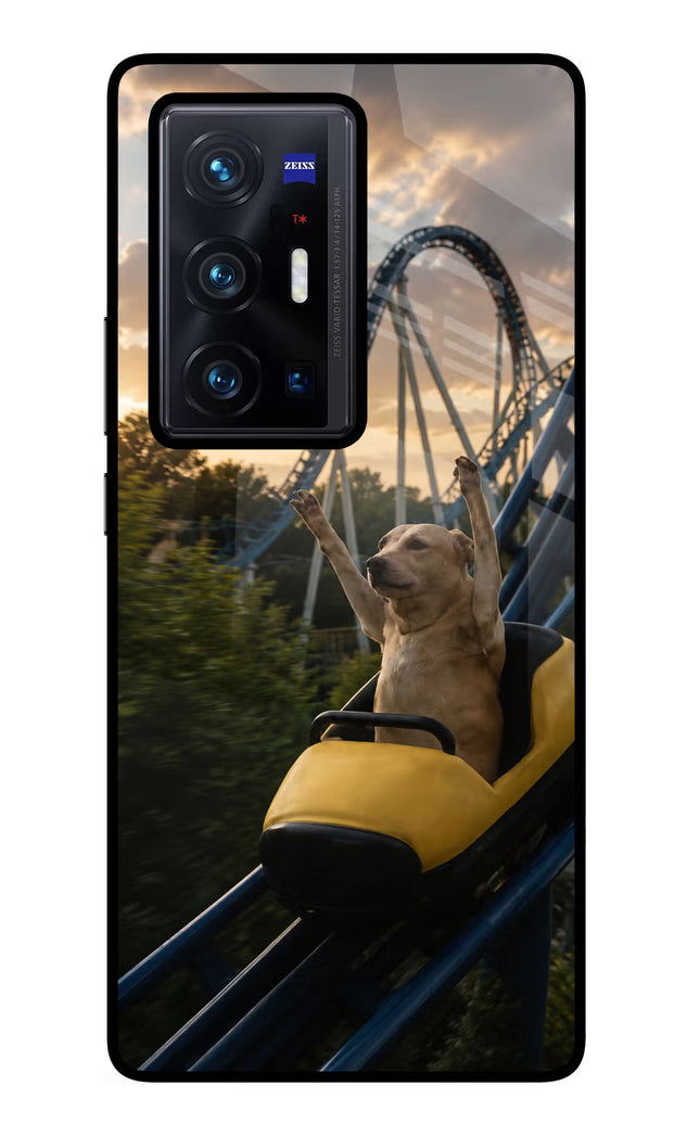Rollercoaster Dog Vivo X70 Pro+ Glass Case