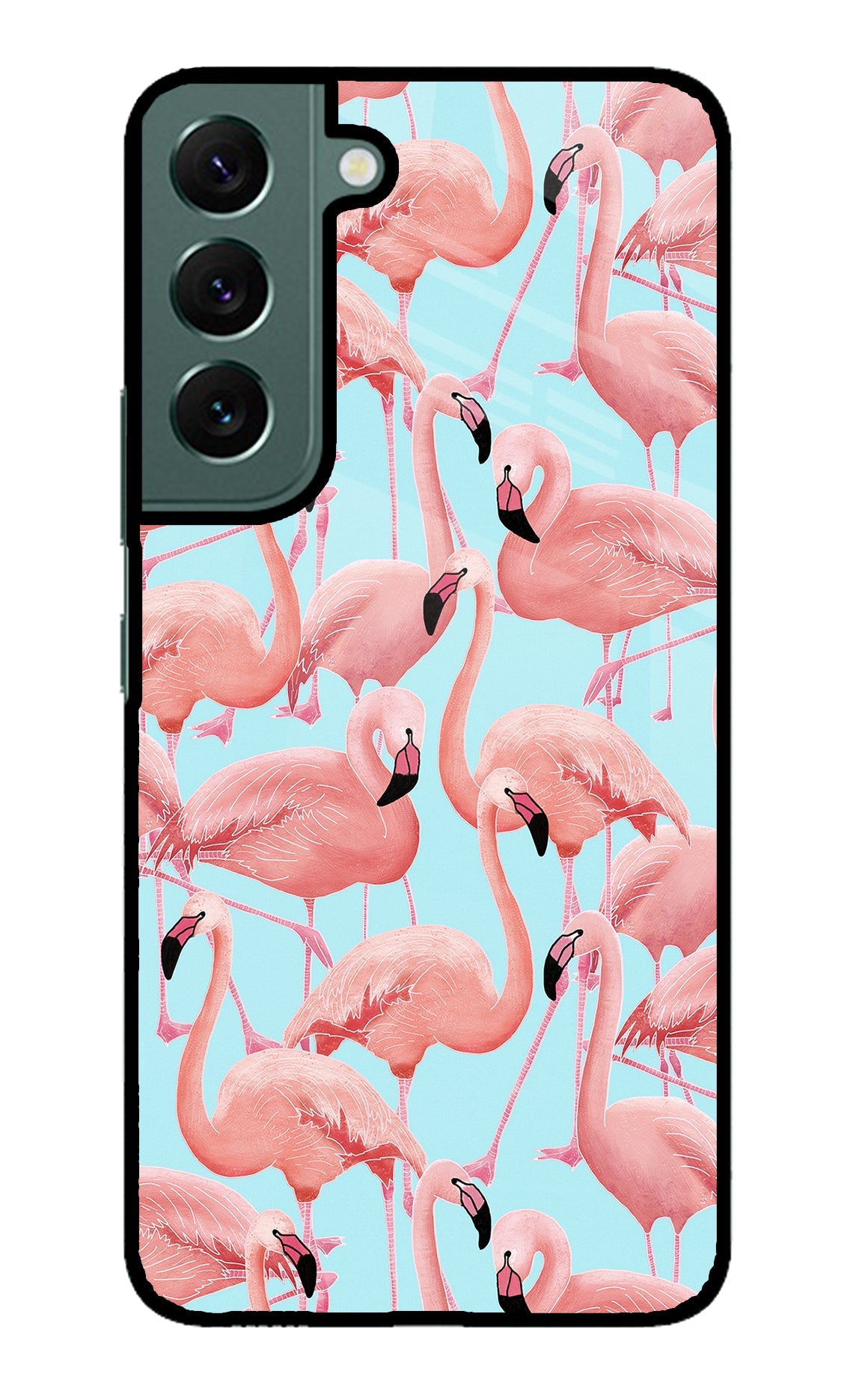 Flamboyance Samsung S22 Plus Glass Case