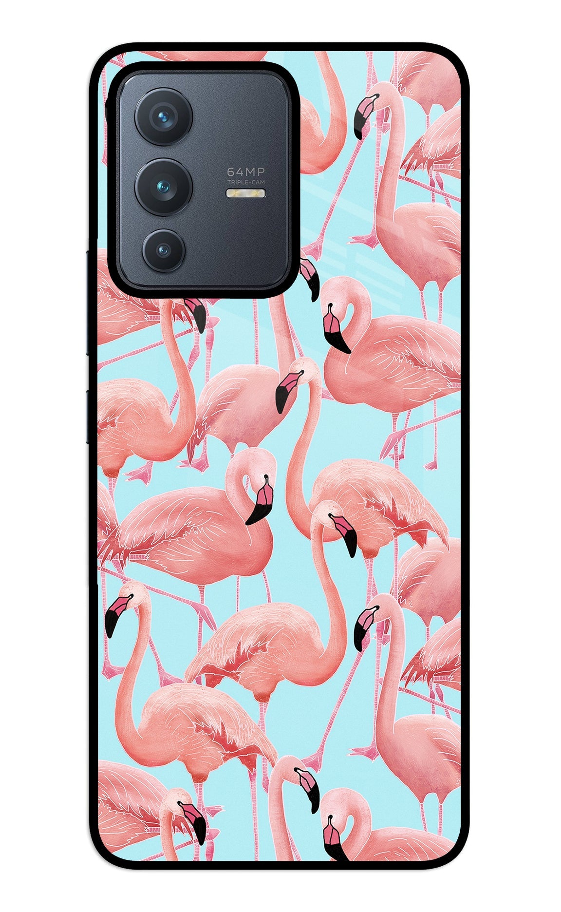 Flamboyance Vivo V23 5G Back Cover