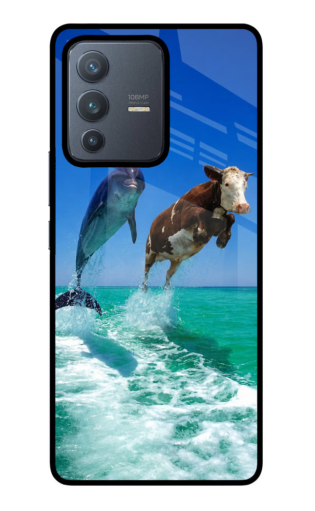 Dolphin vs Cow Vivo V23 Pro 5G Glass Case