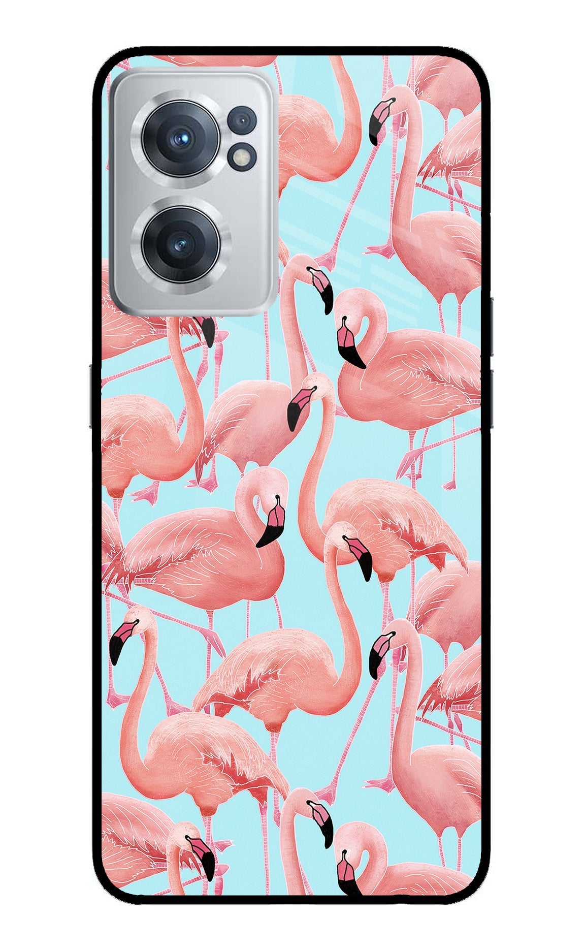 Flamboyance OnePlus Nord CE 2 5G Back Cover