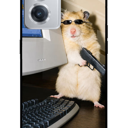 Hacker Hamster OnePlus Nord CE 2 5G Glass Case