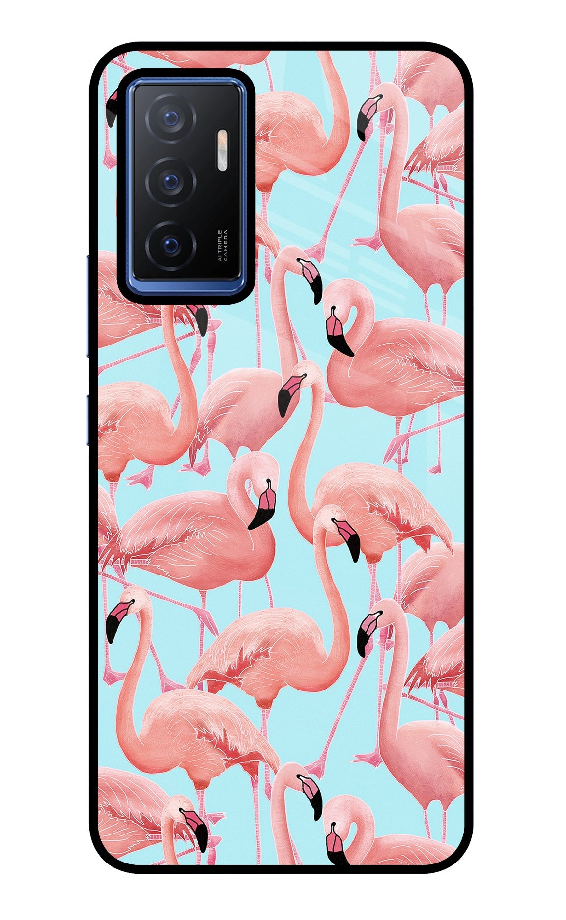 Flamboyance Vivo V23E 5G Glass Case