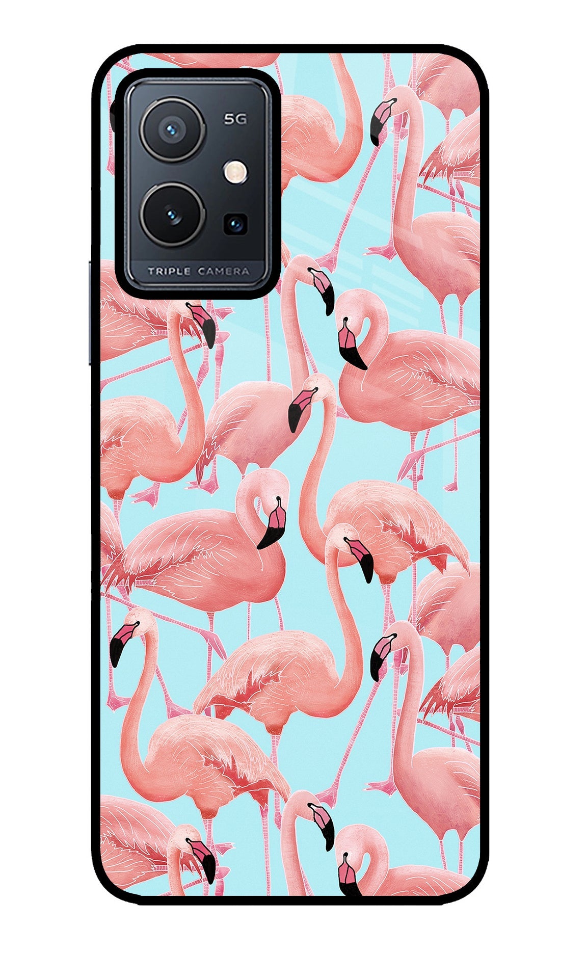 Flamboyance Vivo Y75 5G/Vivo T1 5G Back Cover