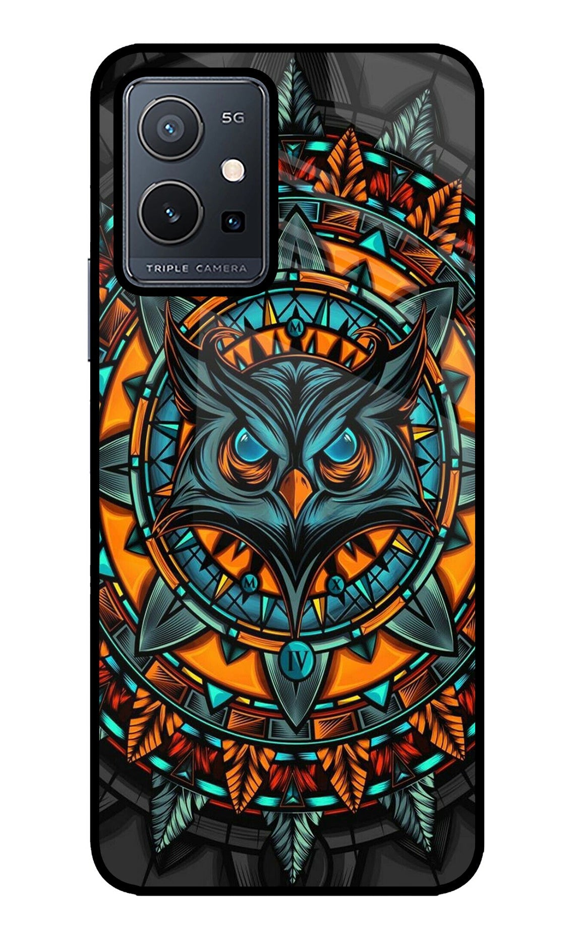 Angry Owl Art Vivo Y75 5G/Vivo T1 5G Back Cover