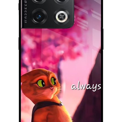 Always Cat OnePlus 10 Pro 5G Glass Case