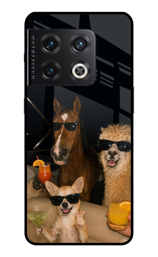 Party Squad OnePlus 10 Pro 5G Glass Case