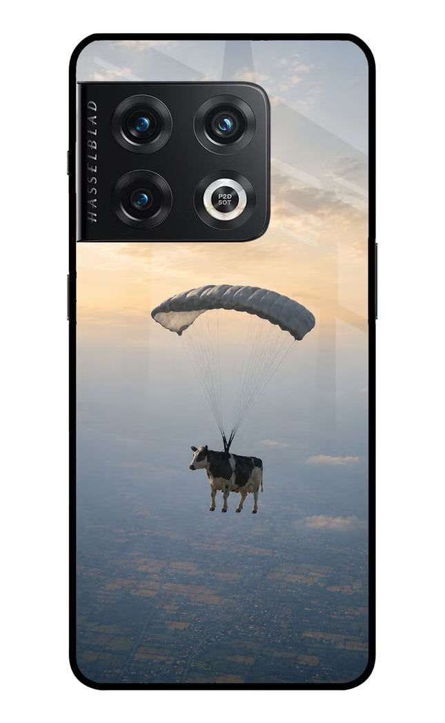 Skydiving Cow OnePlus 10 Pro 5G Glass Case