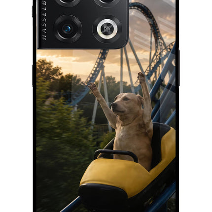Rollercoaster Dog OnePlus 10 Pro 5G Glass Case
