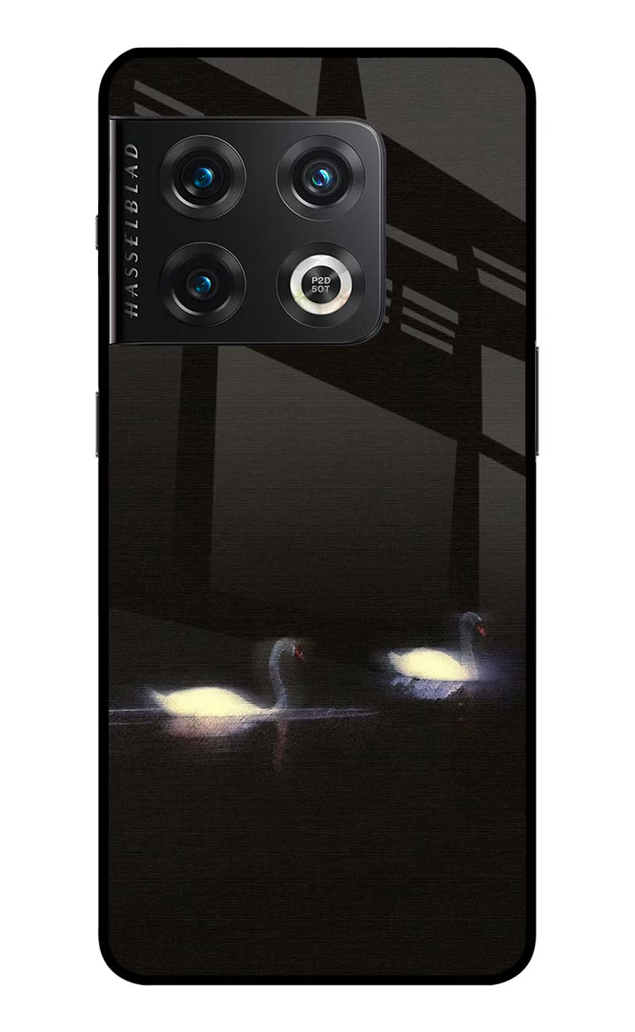 Silent Swans OnePlus 10 Pro 5G Back Cover, Glass case