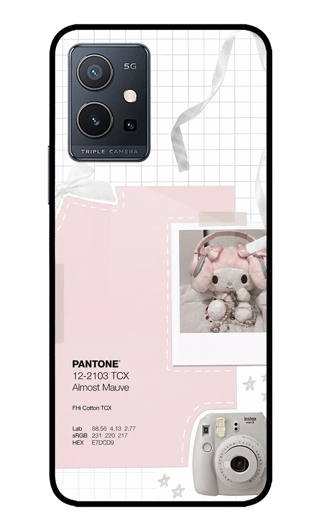 Pantone Asthetic IQOO Z6 5G (not 44W) Glass Case
