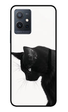 Shadow Gaze IQOO Z6 5G (not 44W) Glass Case