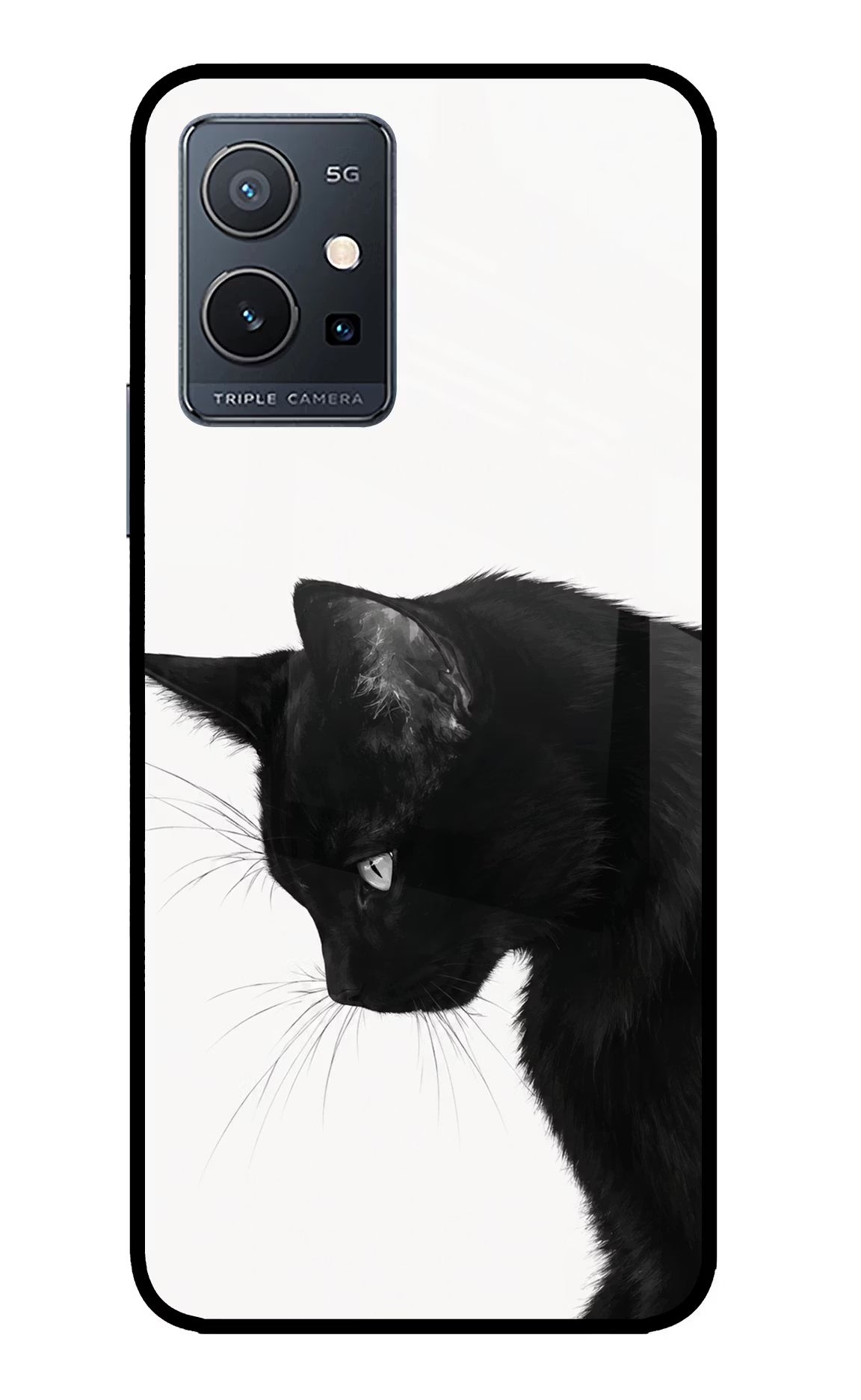 Shadow Gaze IQOO Z6 5G (not 44W) Glass Case