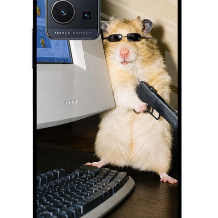 Hacker Hamster IQOO Z6 5G (not 44W) Glass Case