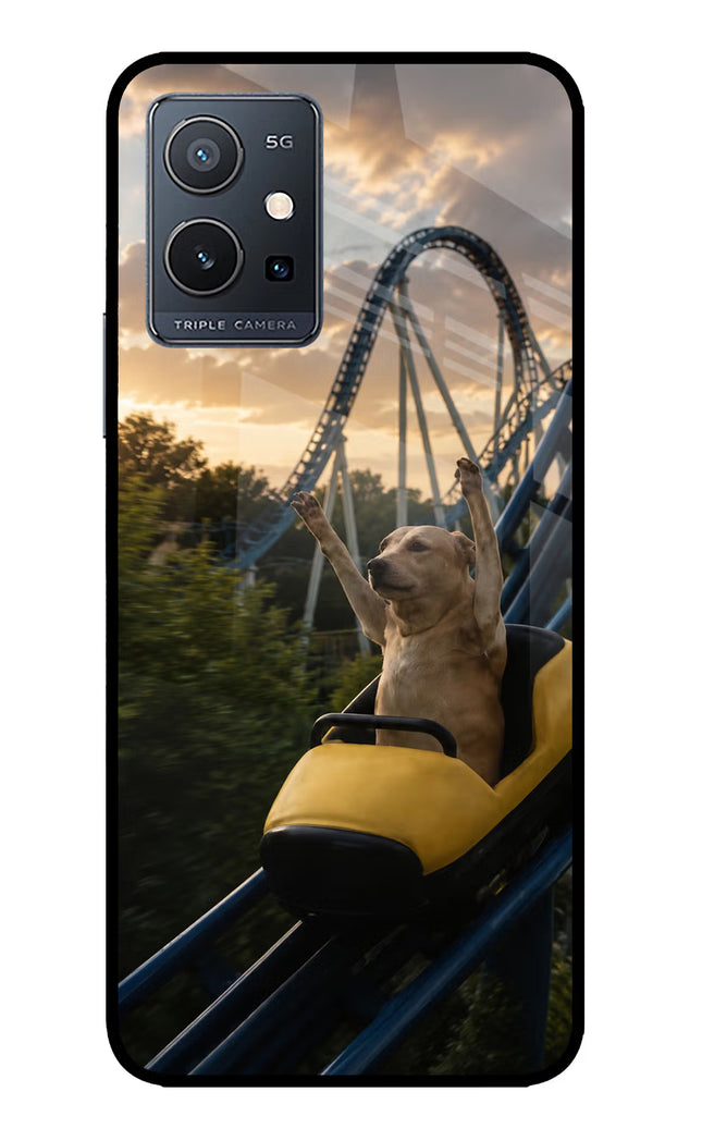 Rollercoaster Dog IQOO Z6 5G (not 44W) Glass Case