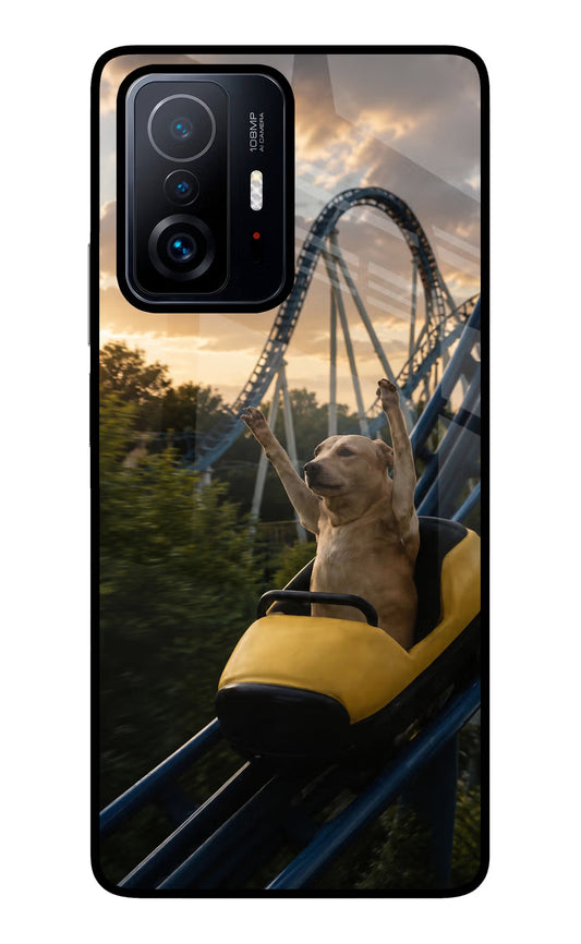 Rollercoaster Dog Mi 11T Pro 5G Glass Case