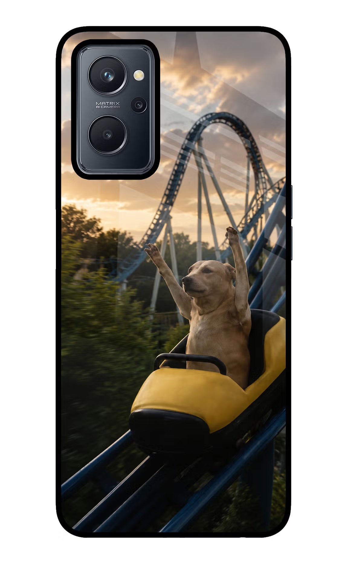 Rollercoaster Dog Realme 9i 4G Glass Case