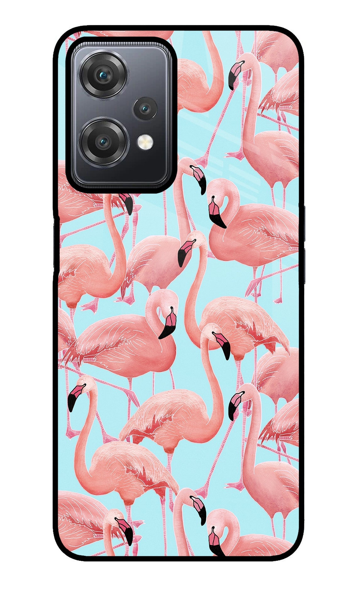 Flamboyance OnePlus Nord CE 2 Lite 5G Back Cover