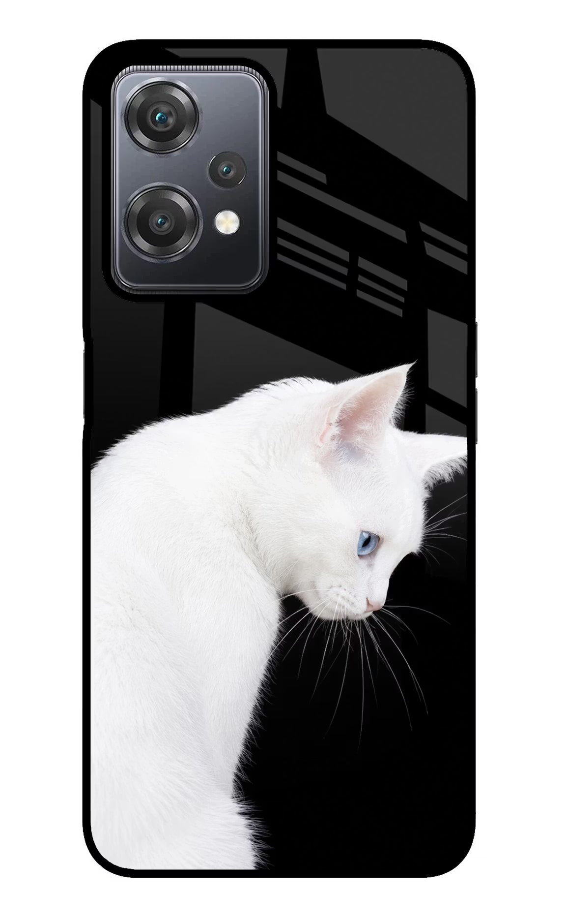 Snow Gaze OnePlus Nord CE 2 Lite 5G Glass Case