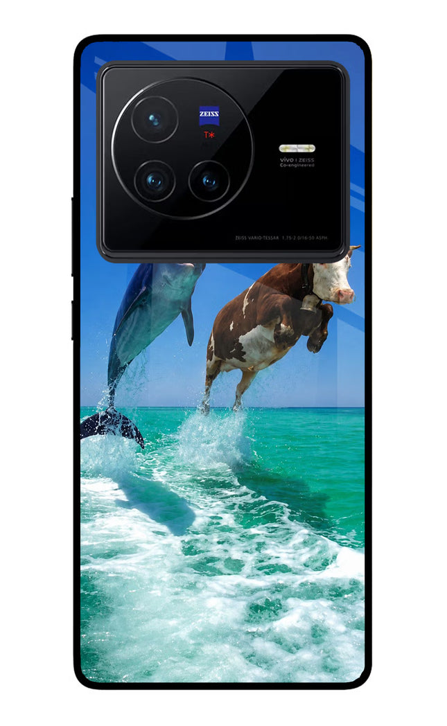 Dolphin vs Cow Vivo X80 Glass Case