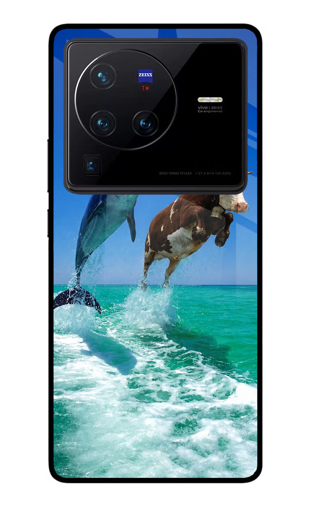 Dolphin vs Cow Vivo X80 Pro Glass Case