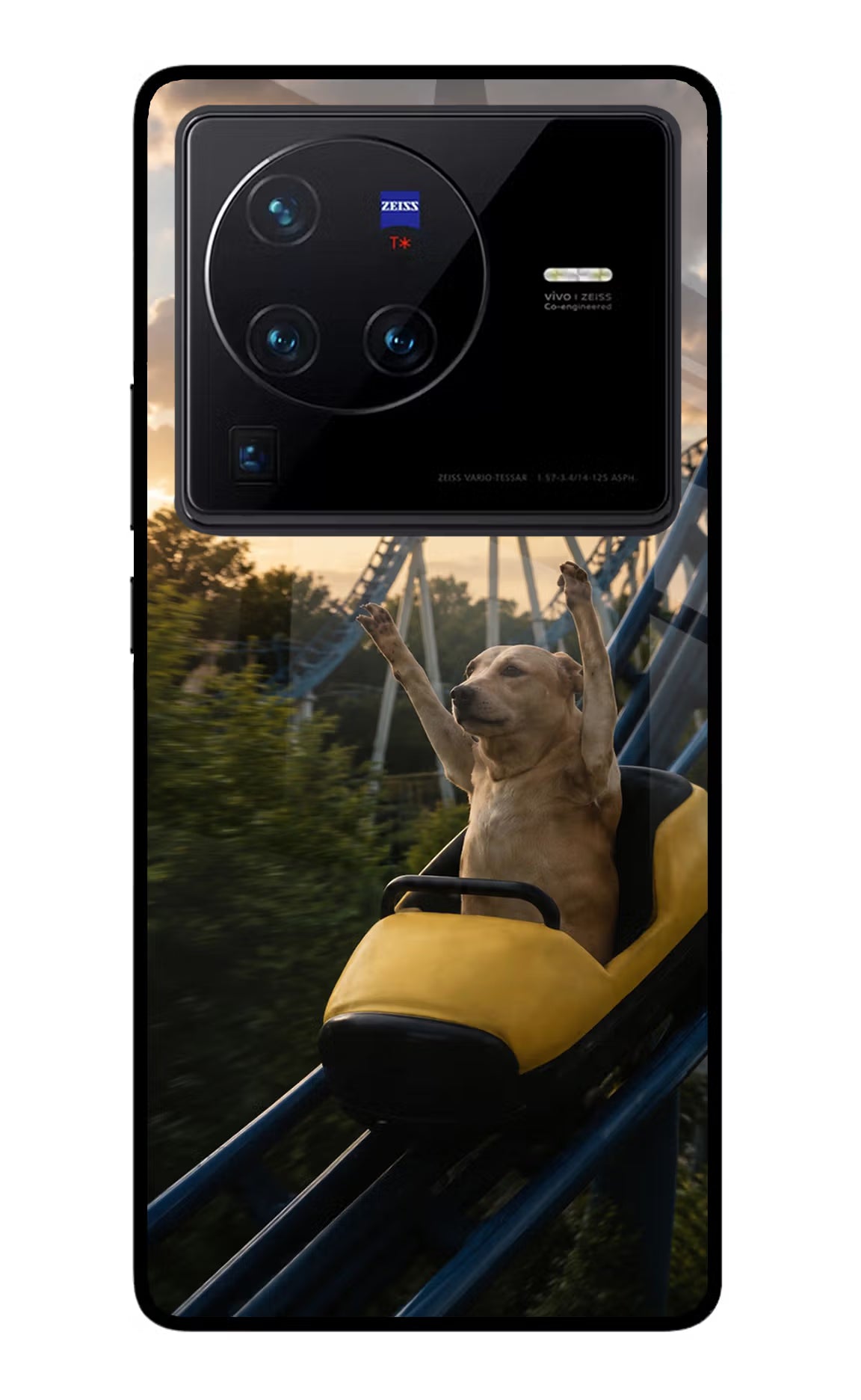 Rollercoaster Dog Vivo X80 Pro Glass Case