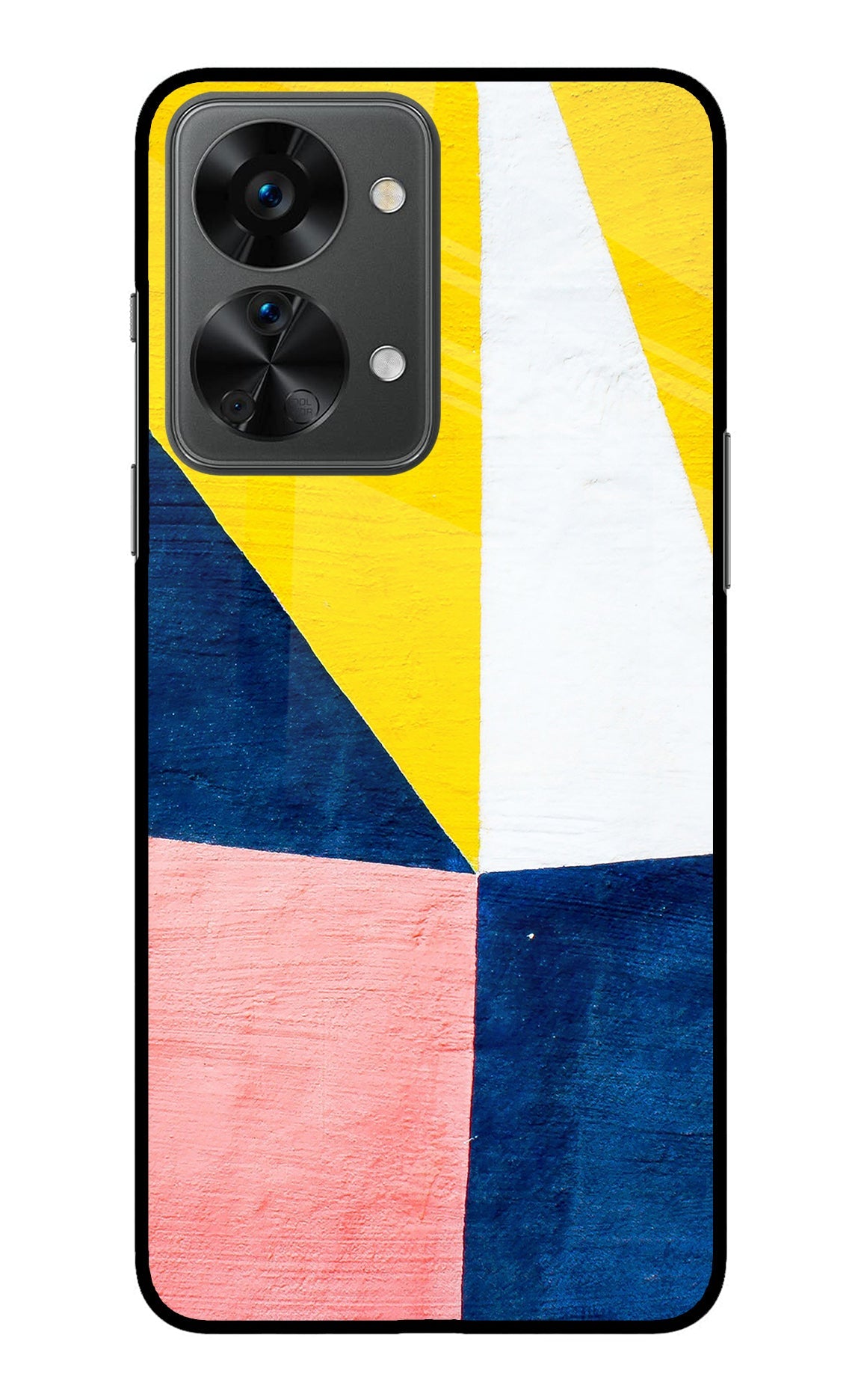 Colourful Art OnePlus Nord 2T 5G Back Cover