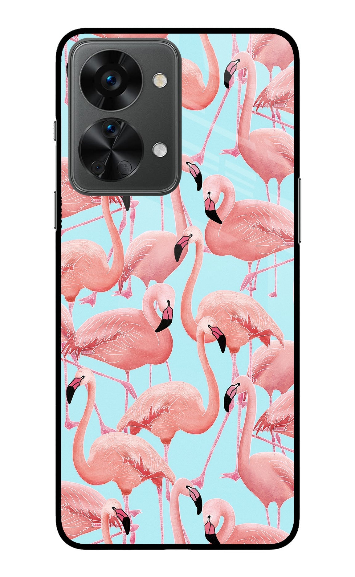 Flamboyance OnePlus Nord 2T 5G Back Cover