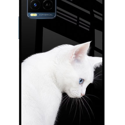 Snow Gaze Vivo Y33T Glass Case