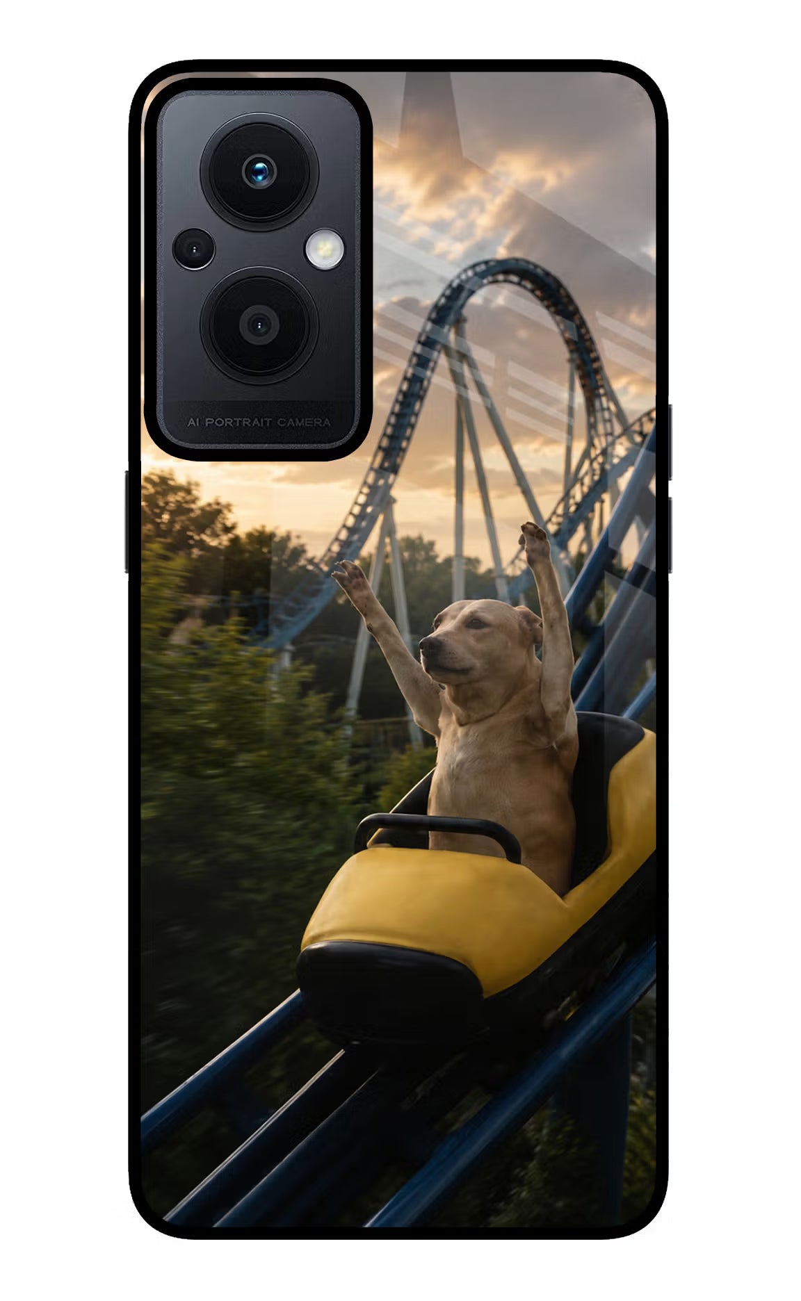 Rollercoaster Dog Oppo F21 Pro 5G Glass Case