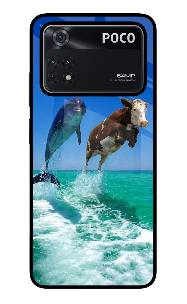 Dolphin vs Cow Poco M4 Pro 4G Glass Case