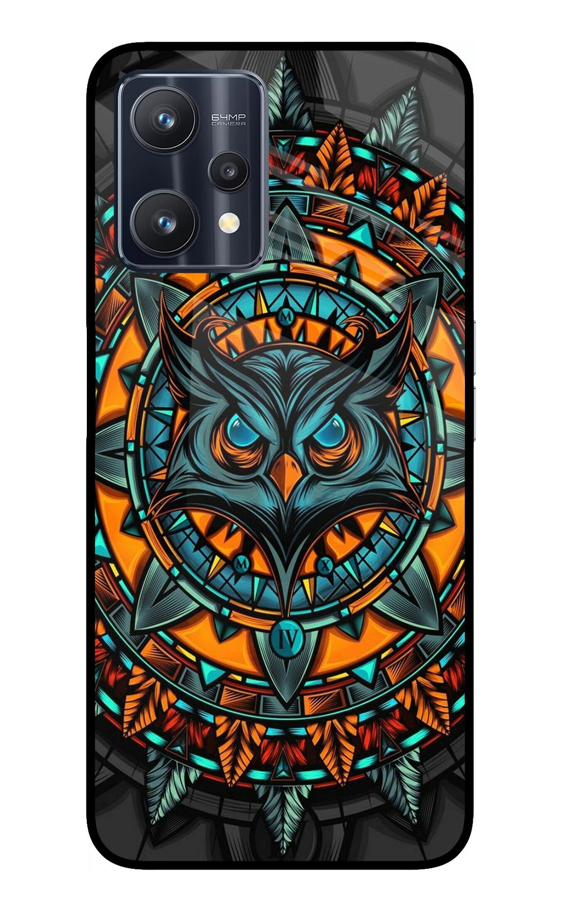 Angry Owl Art Realme 9 Pro 5G Glass Case