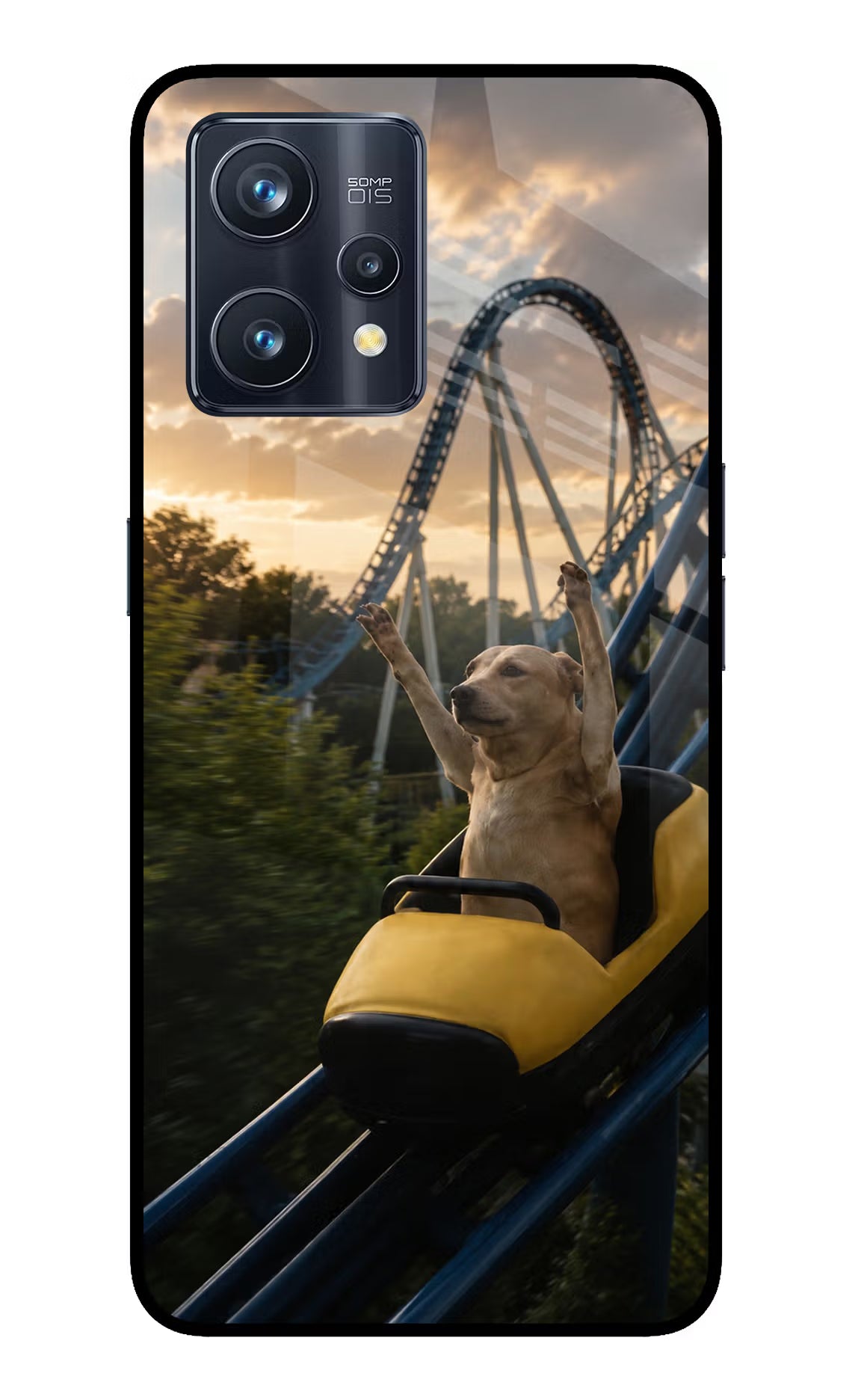 Rollercoaster Dog Realme 9 Pro+ 5G Glass Case