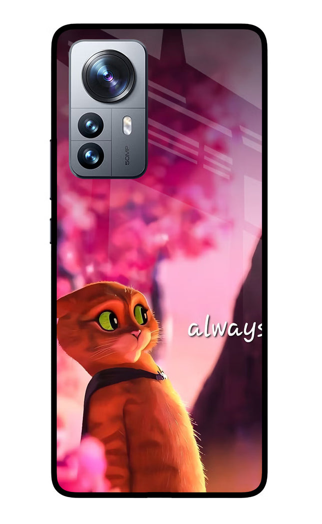 Always Cat Mi 12 Pro 5G Glass Case