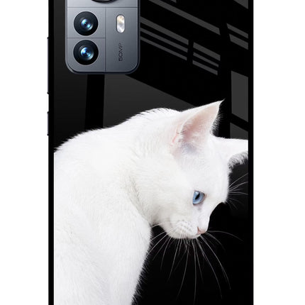 Snow Gaze Mi 12 Pro 5G Glass Case