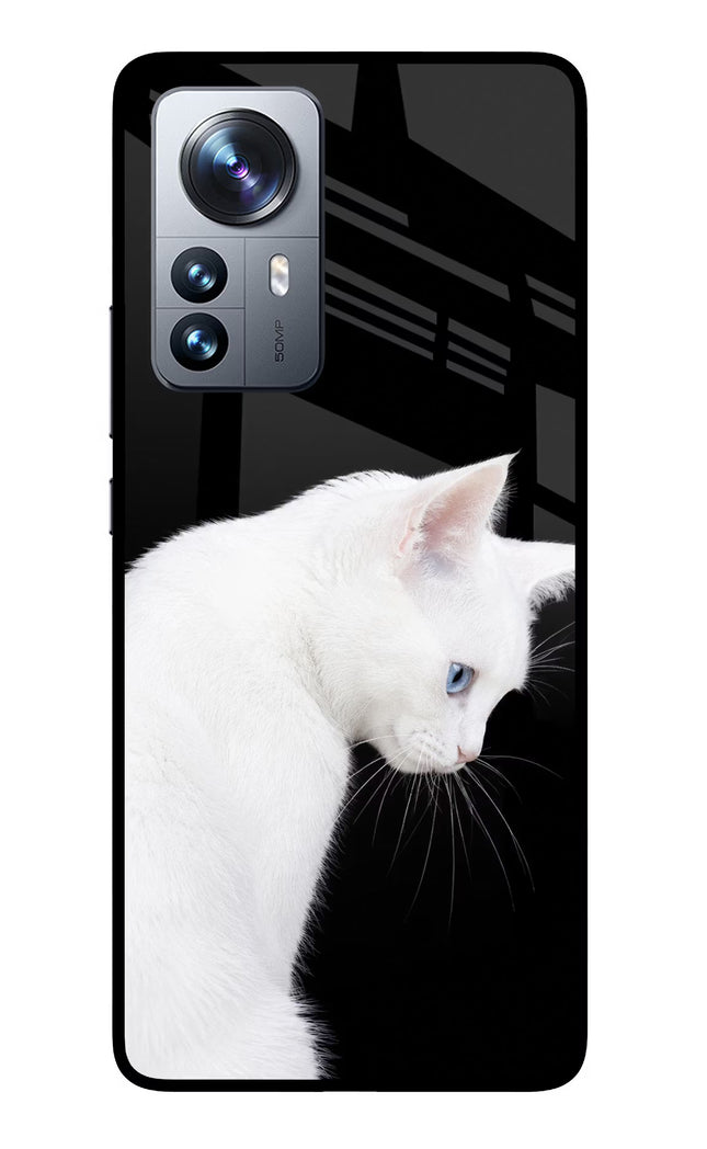 Snow Gaze Mi 12 Pro 5G Glass Case