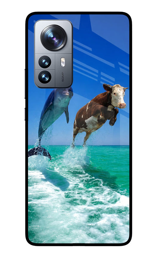 Dolphin vs Cow Mi 12 Pro 5G Glass Case