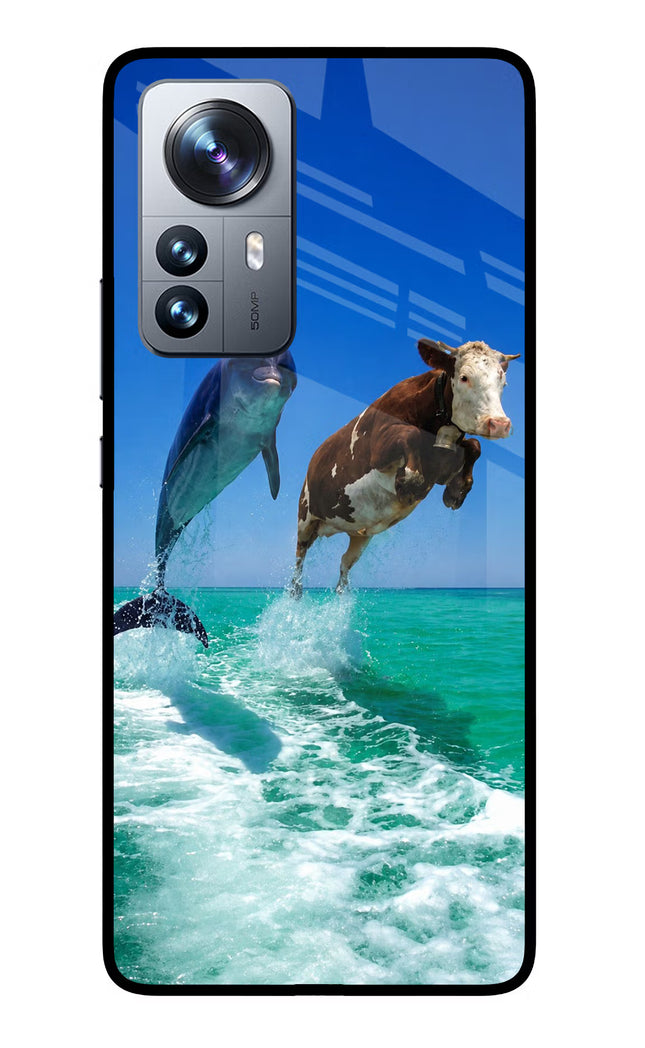 Dolphin vs Cow Mi 12 Pro 5G Glass Case