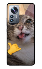 Silly Cat Call Mi 12 Pro 5G Glass Case