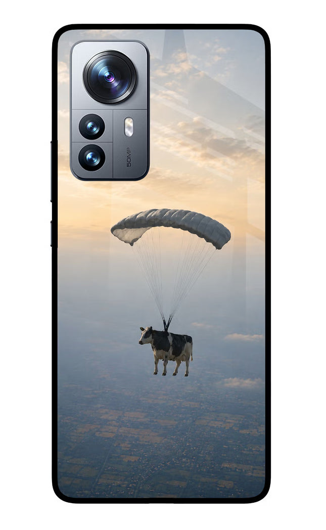 Skydiving Cow Mi 12 Pro 5G Glass Case