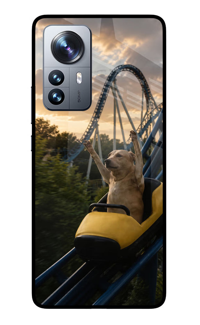 Rollercoaster Dog Mi 12 Pro 5G Glass Case