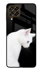 Snow Gaze Samsung M53 5G Glass Case