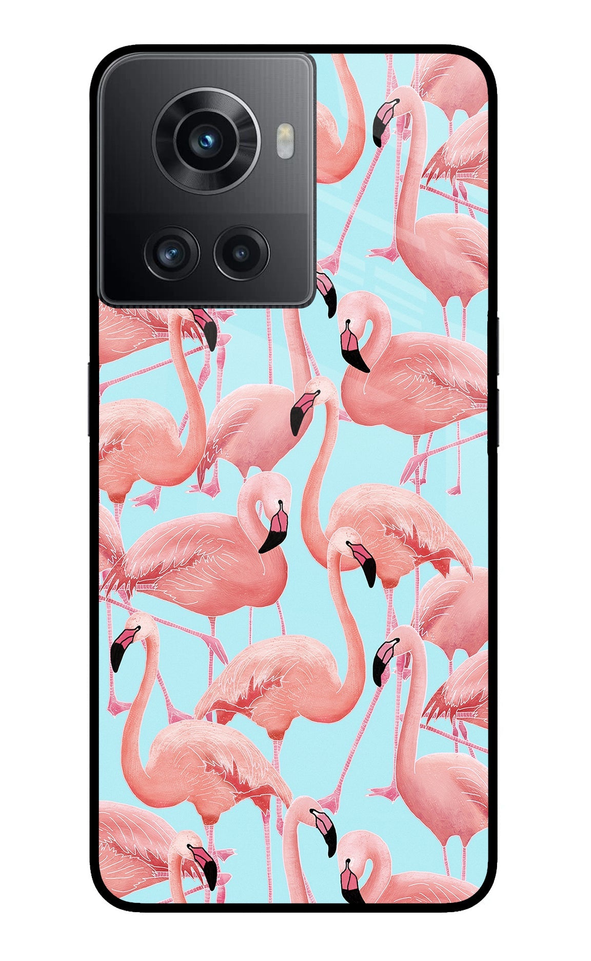 Flamboyance OnePlus 10R 5G Glass Case