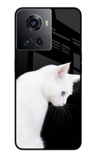 Snow Gaze OnePlus 10R 5G Glass Case