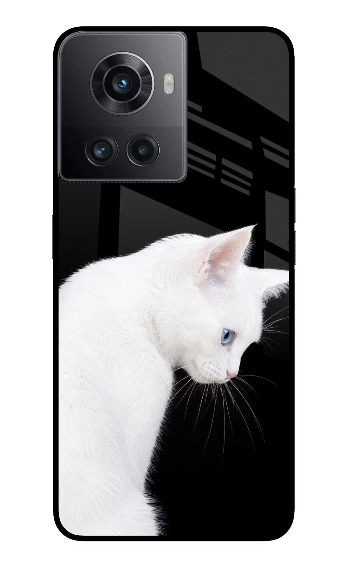 Snow Gaze OnePlus 10R 5G Glass Case