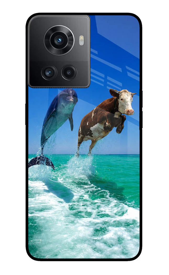 Dolphin vs Cow OnePlus 10R 5G Glass Case